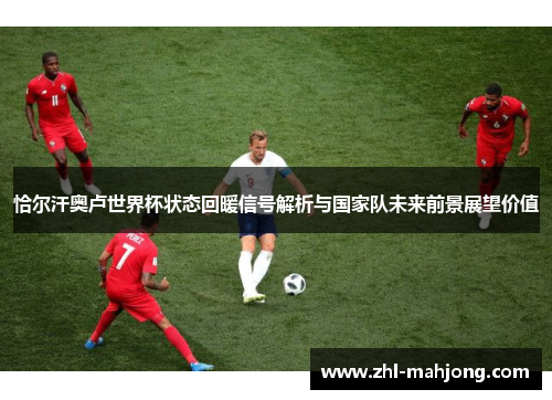 恰尔汗奥卢世界杯状态回暖信号解析与国家队未来前景展望价值