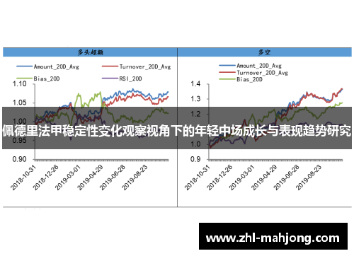 佩德里法甲稳定性变化观察视角下的年轻中场成长与表现趋势研究